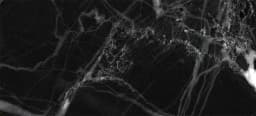 Original Glass Frost Black decor swatch